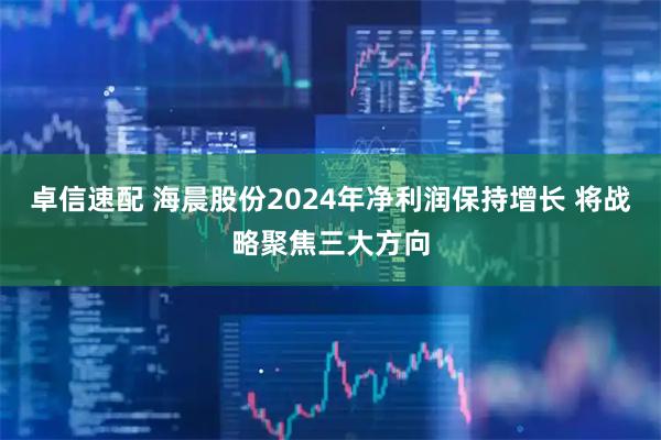 卓信速配 海晨股份2024年净利润保持增长 将战略聚焦三大方向