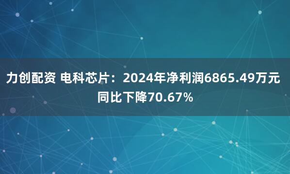 力创配资 电科芯片：2024年净利润6865.49万元 同比下降70.67%