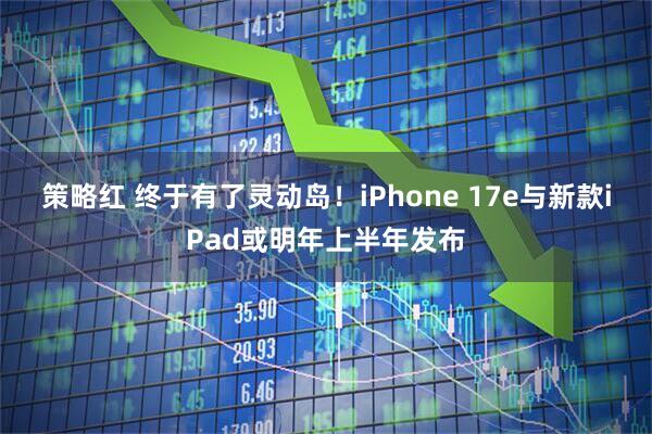 策略红 终于有了灵动岛！iPhone 17e与新款iPad或明年上半年发布