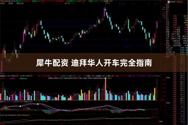 犀牛配资 迪拜华人开车完全指南