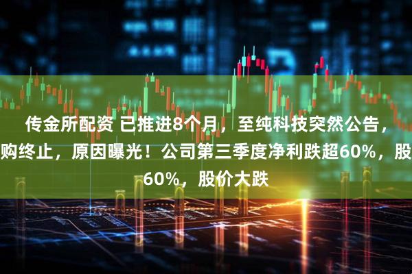 传金所配资 已推进8个月，至纯科技突然公告，重磅收购终止，原因曝光！公司第三季度净利跌超60%，股价大跌