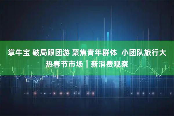 掌牛宝 破局跟团游 聚焦青年群体  小团队旅行大热春节市场｜新消费观察