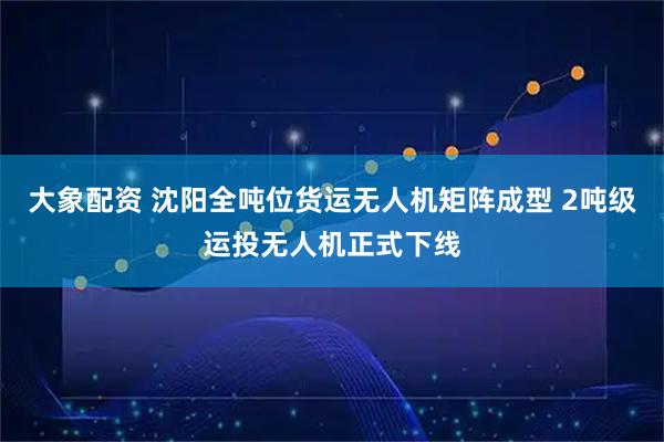 大象配资 沈阳全吨位货运无人机矩阵成型 2吨级运投无人机正式下线