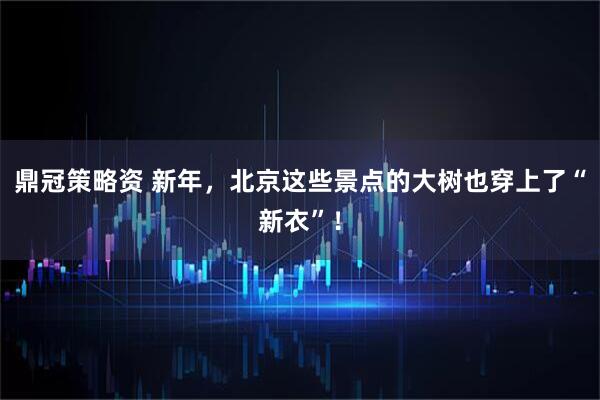 鼎冠策略资 新年，北京这些景点的大树也穿上了“新衣”！