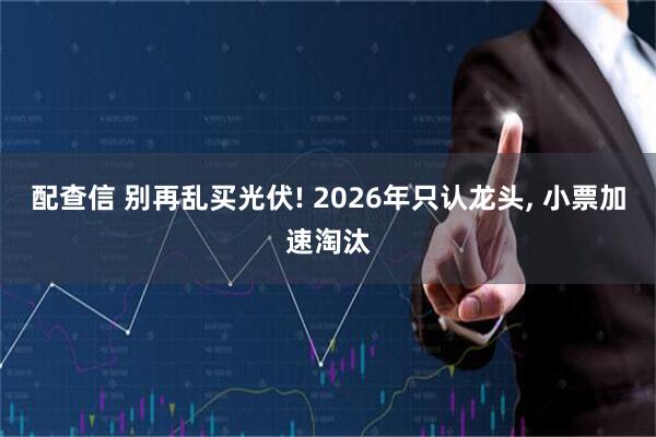 配查信 别再乱买光伏! 2026年只认龙头, 小票加速淘汰