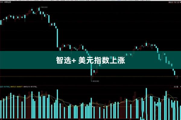 智选+ 美元指数上涨